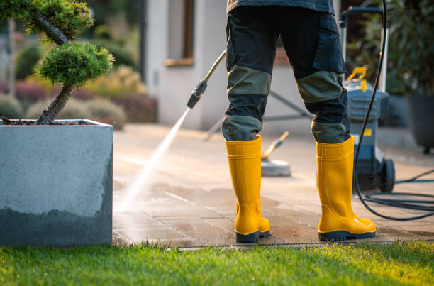 Best Power Washing Near Me  in Sultana, CA